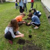 Realizácia projektu participatívneho rozpočtu 2019