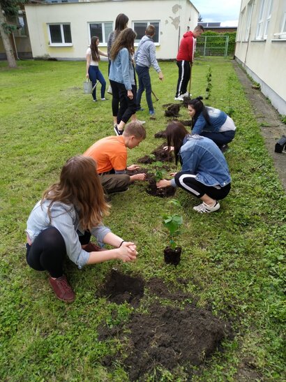 Realizácia projektu participatívneho rozpočtu 2019
