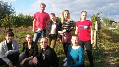 Zber hrozna v Rakúsku 2019