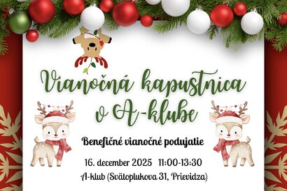 Vianočná kapustnica