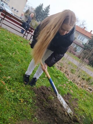 Zasadili sme si vianočnú jedličku - 02