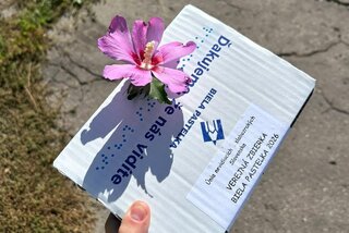 Zväčšiť fotografiu - Biela pastelka 2026