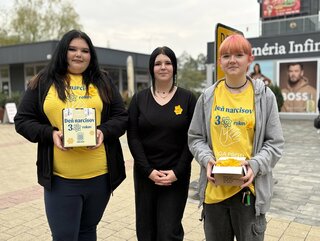 Zväčšiť fotografiu - Deň narcisov 2026