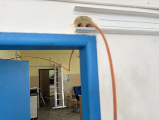 Zväčšiť fotografiu - Nové internetové pripojenie na našej škole