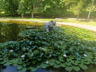 Zväčšiť fotografiu - Odborná exkurzia v kúpeľoch bojnice