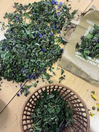 Zväčšiť fotografiu - Zber byliniek