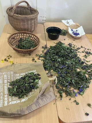 Zväčšiť fotografiu - Zber byliniek