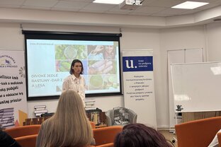 Zväčšiť fotografiu - Byliny na tanieri