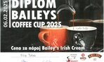 Baileys coffee cup 2025 - 07