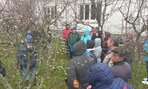 Jarný rez ovocných stromov - 02