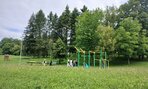 Zväčšiť fotografiu - 200 ton z lesa von
