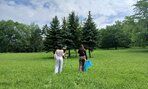 Zväčšiť fotografiu - 200 ton z lesa von