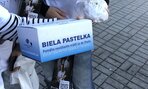 Zväčšiť fotografiu - Biela pastelka 2026