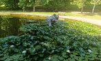 Zväčšiť fotografiu - Odborná exkurzia v kúpeľoch bojnice