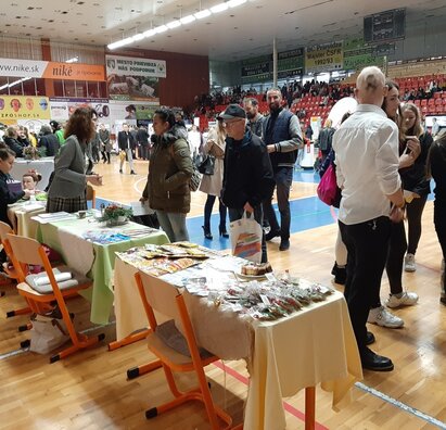 Burza práce a informácií 2019