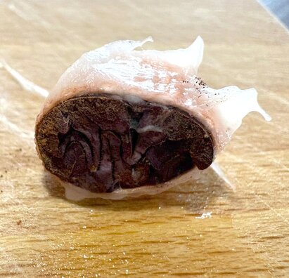 Spracovanie plodu kakaovníka