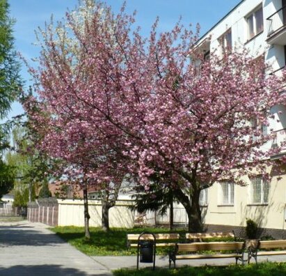Ubytovanie