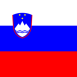 Výberové konanie - Slovinsko 2025 Výberové konanie - Slovinsko 2025