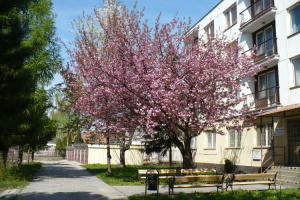 budova interntu