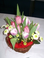 1. miesto Valentnsky kok